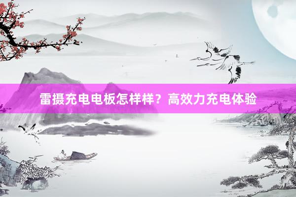 雷摄充电电板怎样样？高效力充电体验